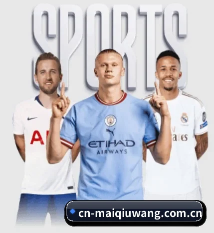 五大服务分区,信息按项目分类